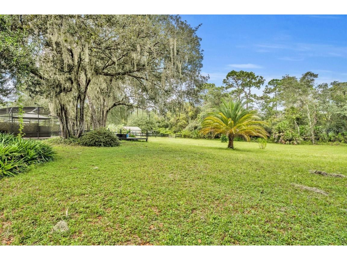 2075 Genova Drive Oviedo FL 32765 O6247507 image19