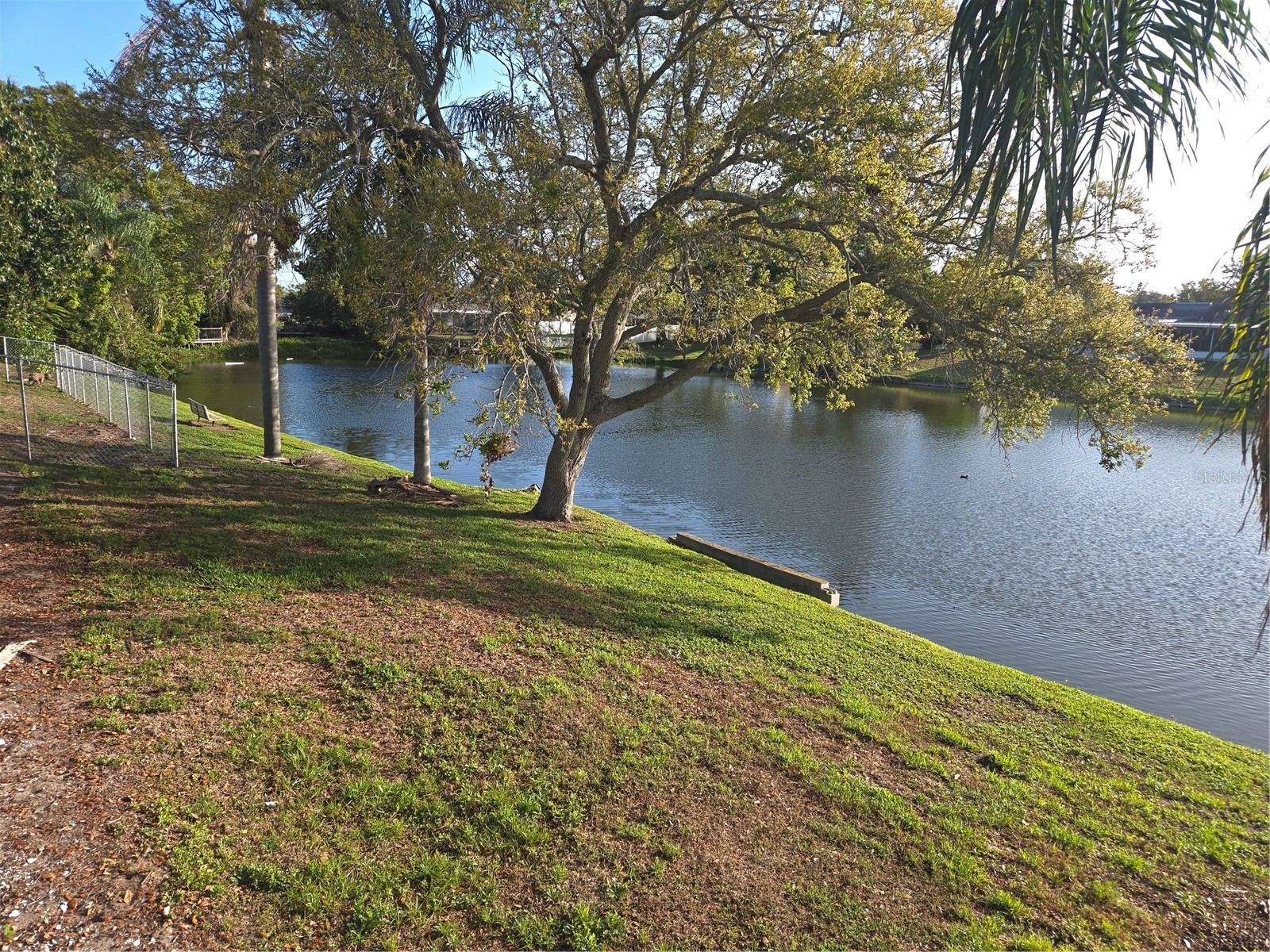 2075 N Keene Road Clearwater FL 33755 - MONTCLAIR LAKE TB8477685 image23