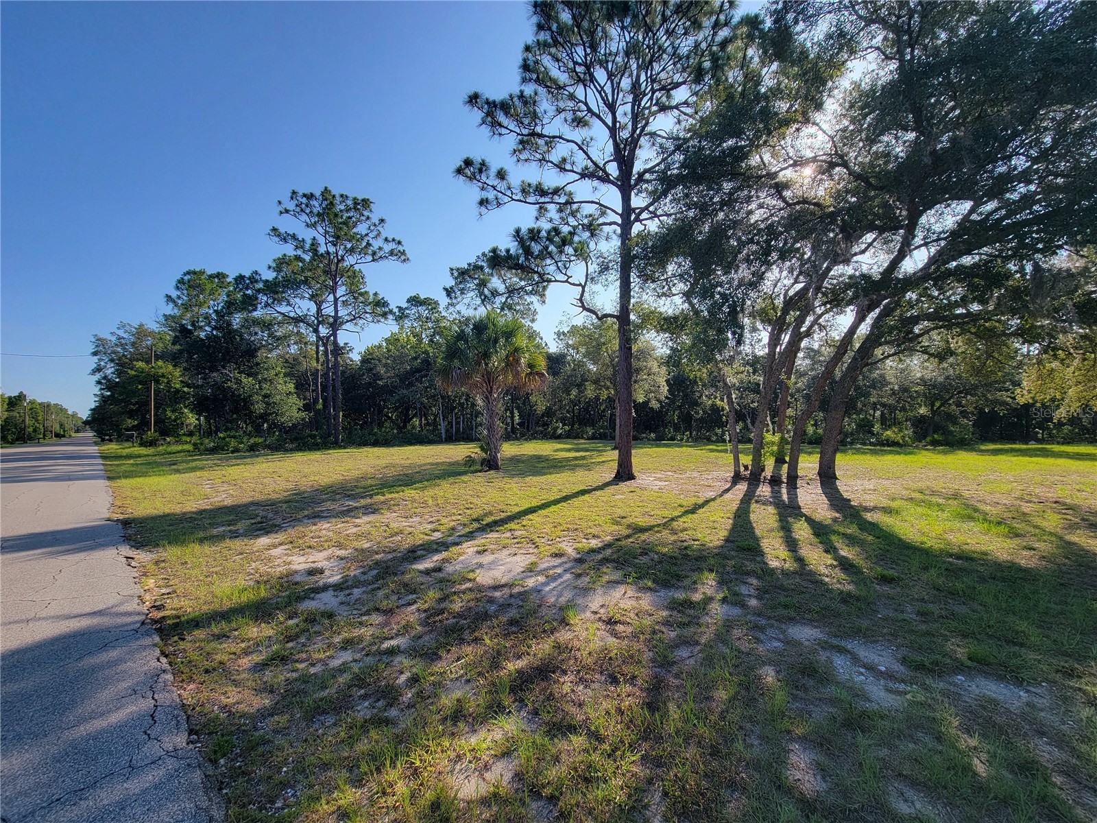 2075 S Colonial Avenue Homosassa FL 34448 TB8523976 image2