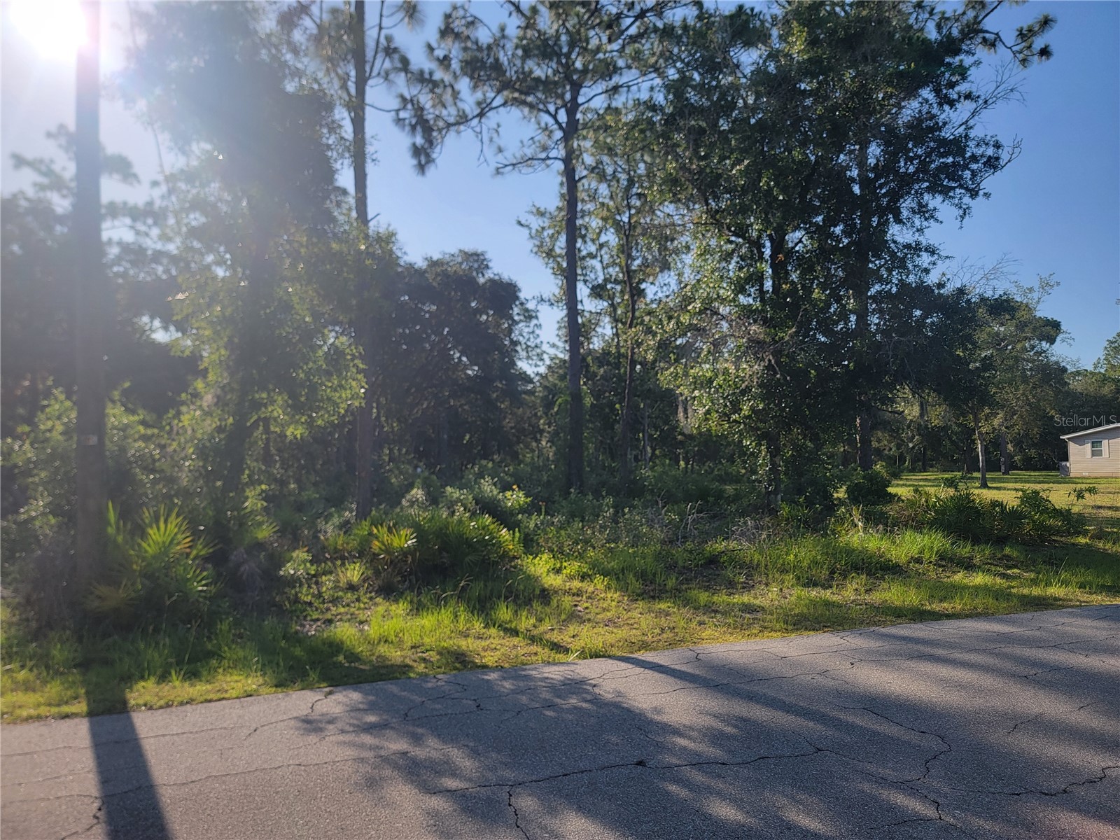2075 S Colonial Avenue Homosassa FL 34448 TB8523976 image3