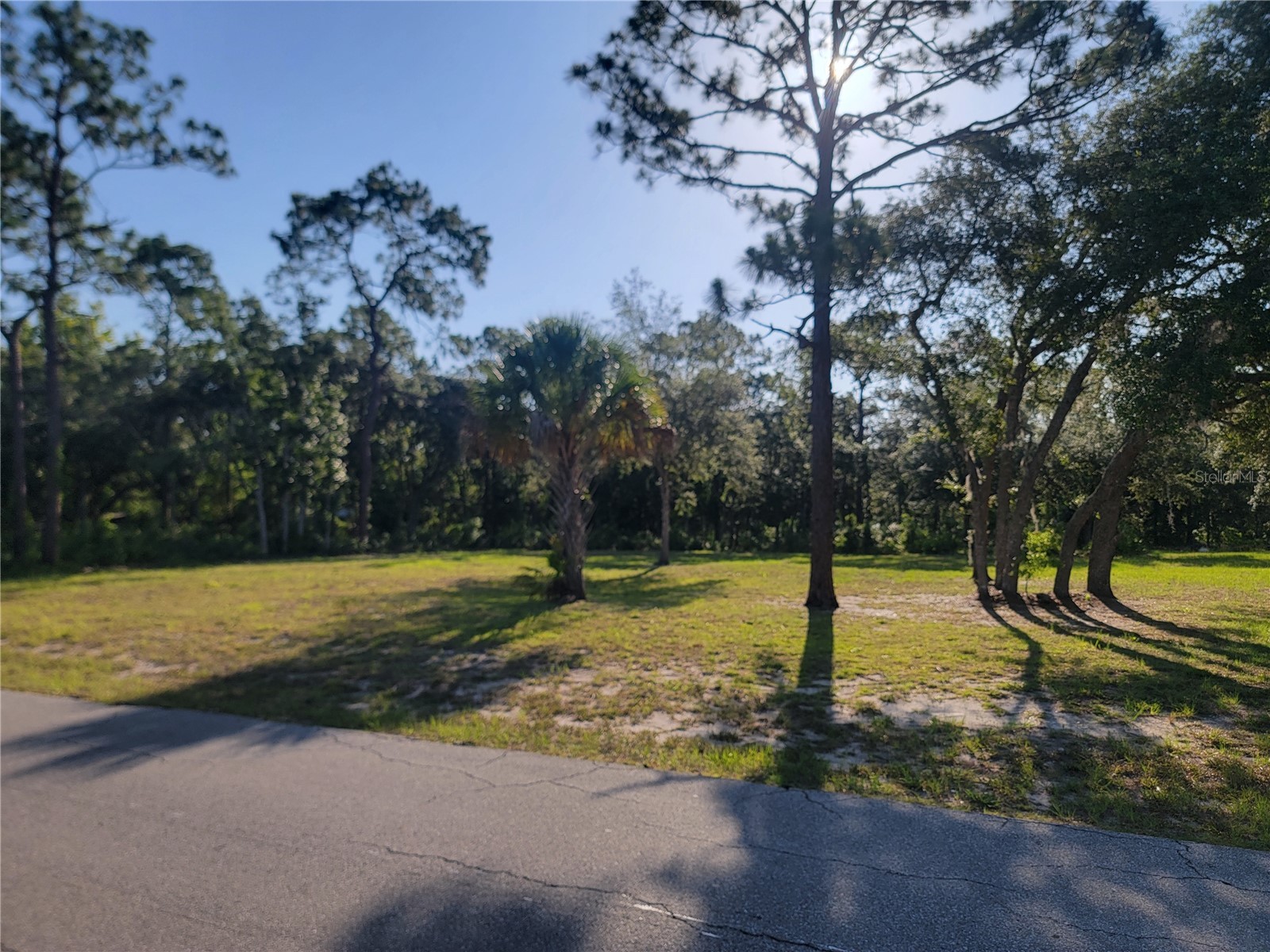 2075 S Colonial Avenue Homosassa FL 34448 TB8523976 image5