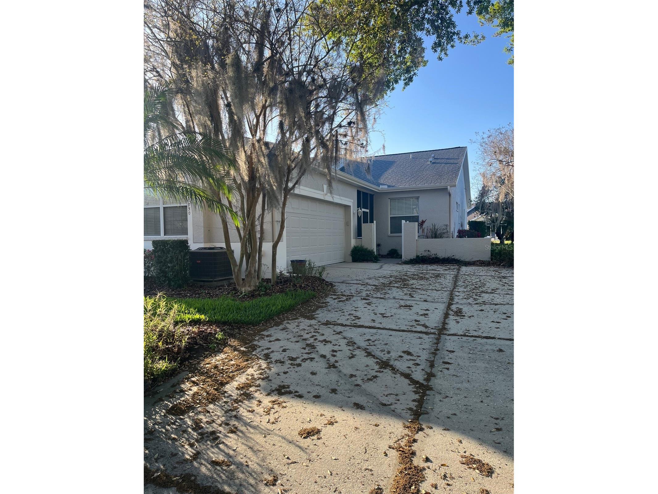 20750 Eustis Road Land O Lakes FL 34637 W7883715 image2