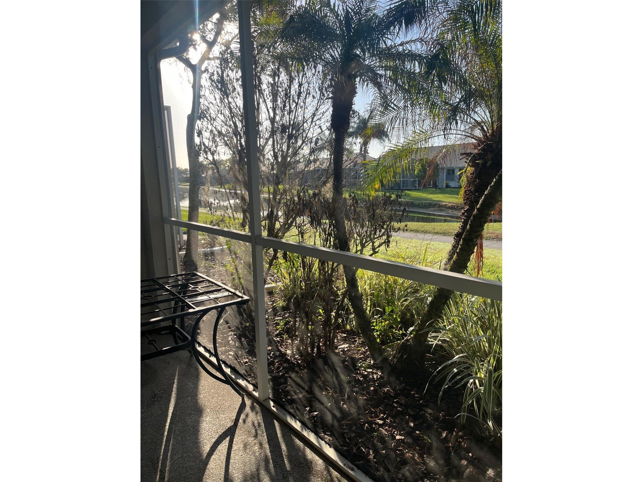 20750 Eustis Road Land O Lakes FL 34637 W7883715 image23