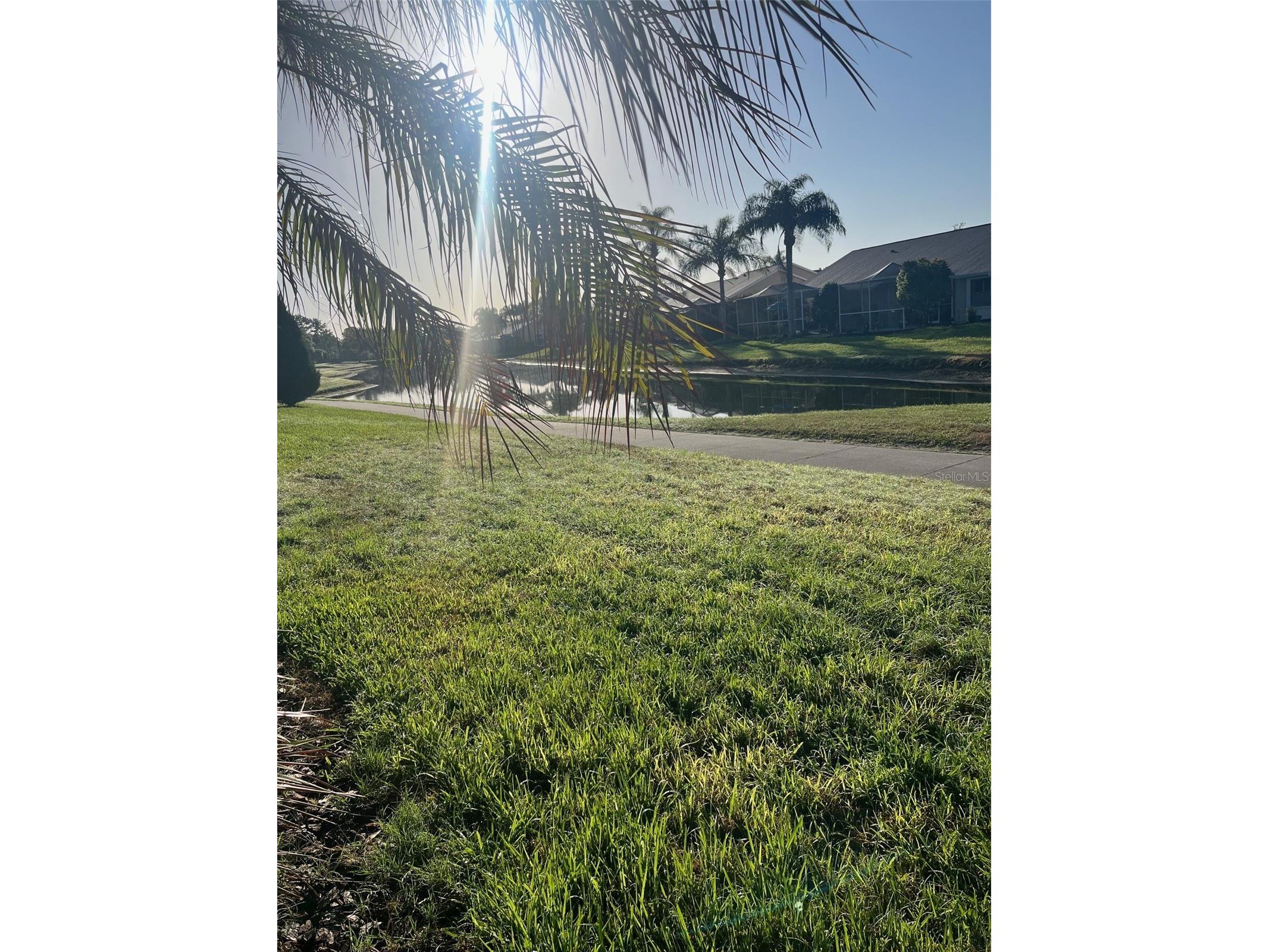 20750 Eustis Road Land O Lakes FL 34637 W7883715 image24