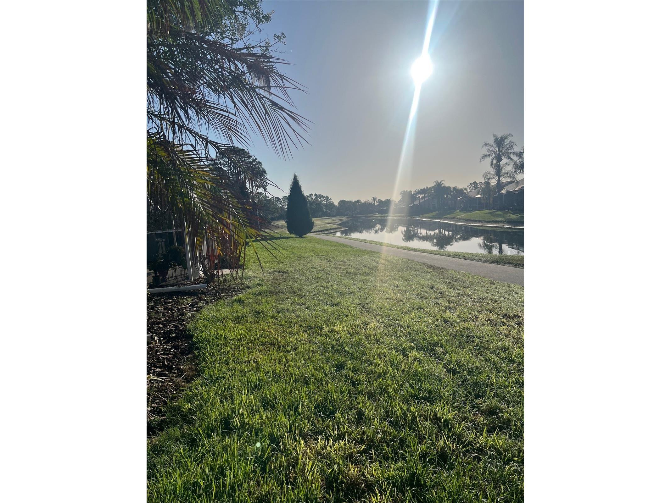 20750 Eustis Road Land O Lakes FL 34637 W7883715 image25