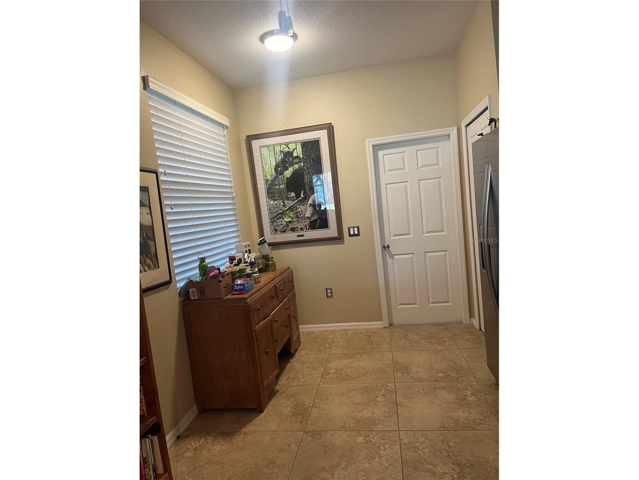 20750 Eustis Road Land O Lakes FL 34637 W7883715 image9