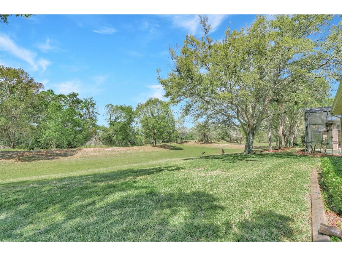 20751 Queen Alexandra Drive Leesburg FL 34748 G5094138 image26