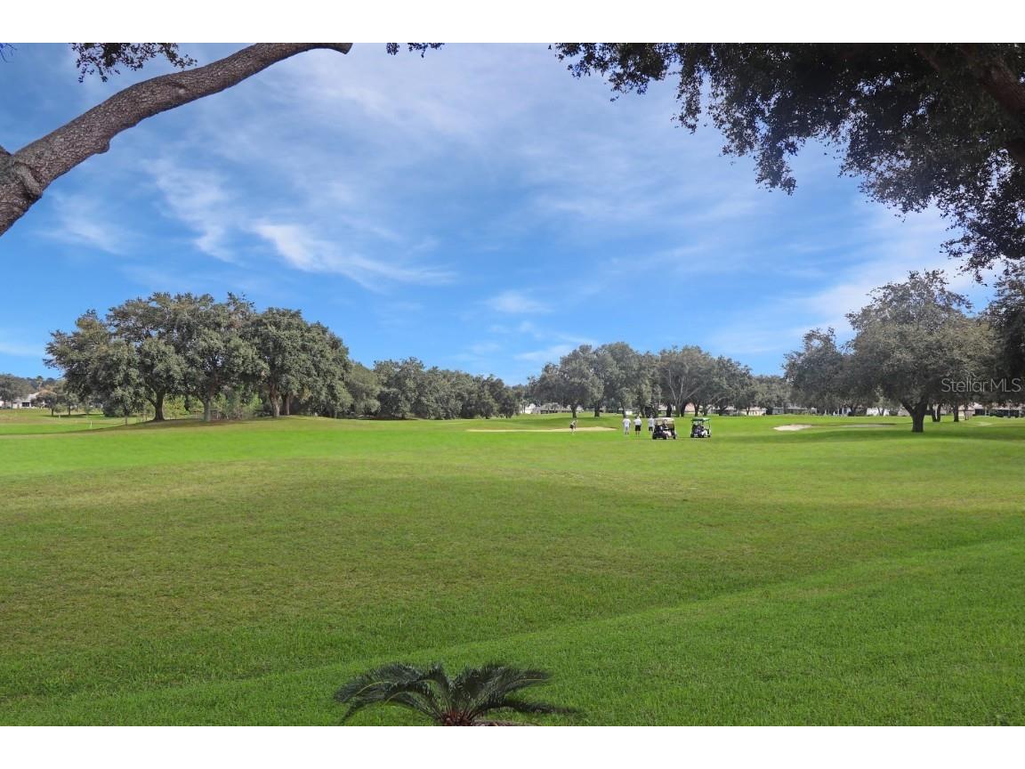 20751 Queen Alexandra Drive Leesburg FL 34748 G5094138 image46