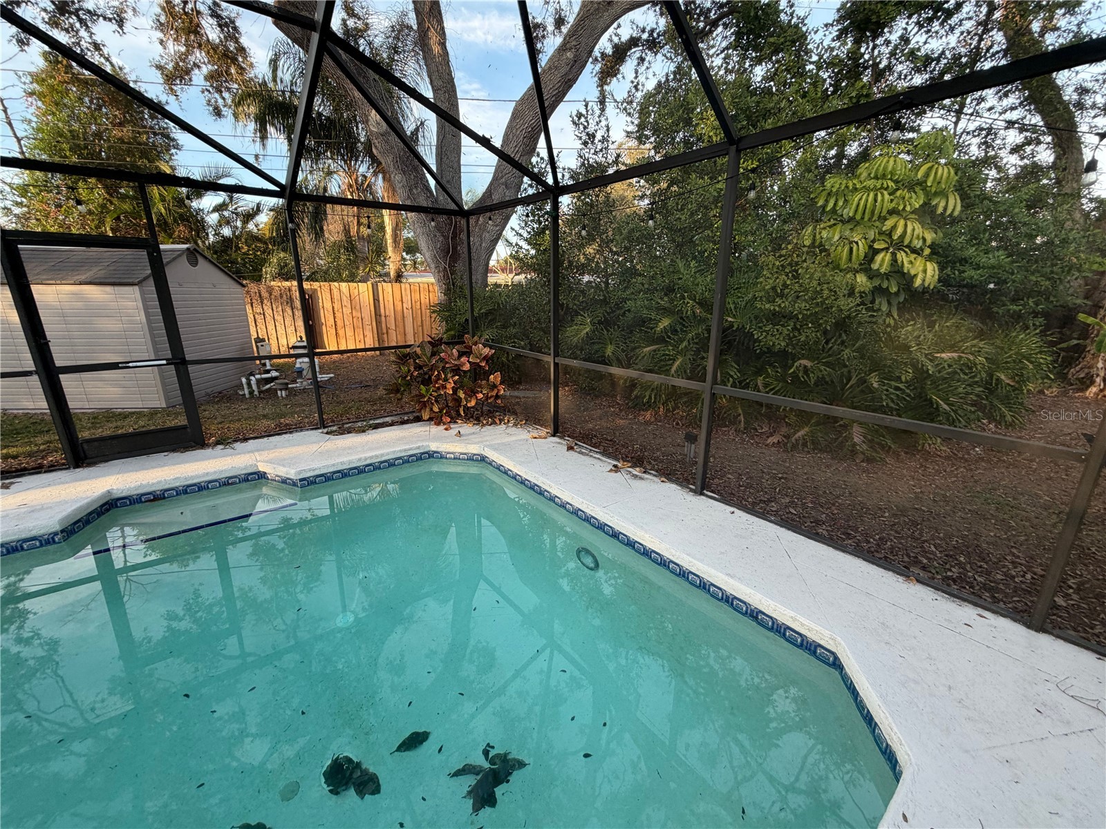 2076 Butternut Circle W Clearwater FL 33763 TB8473247 image39