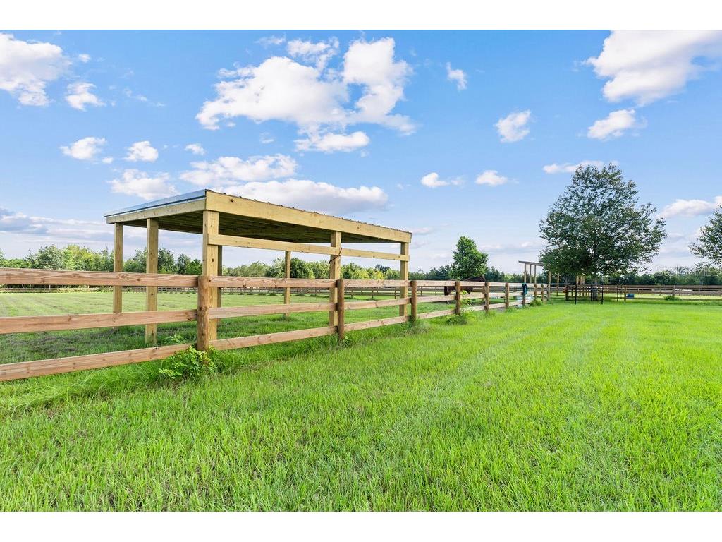 20765 SW 36th Street Dunnellon FL 34431 OM707899 image22