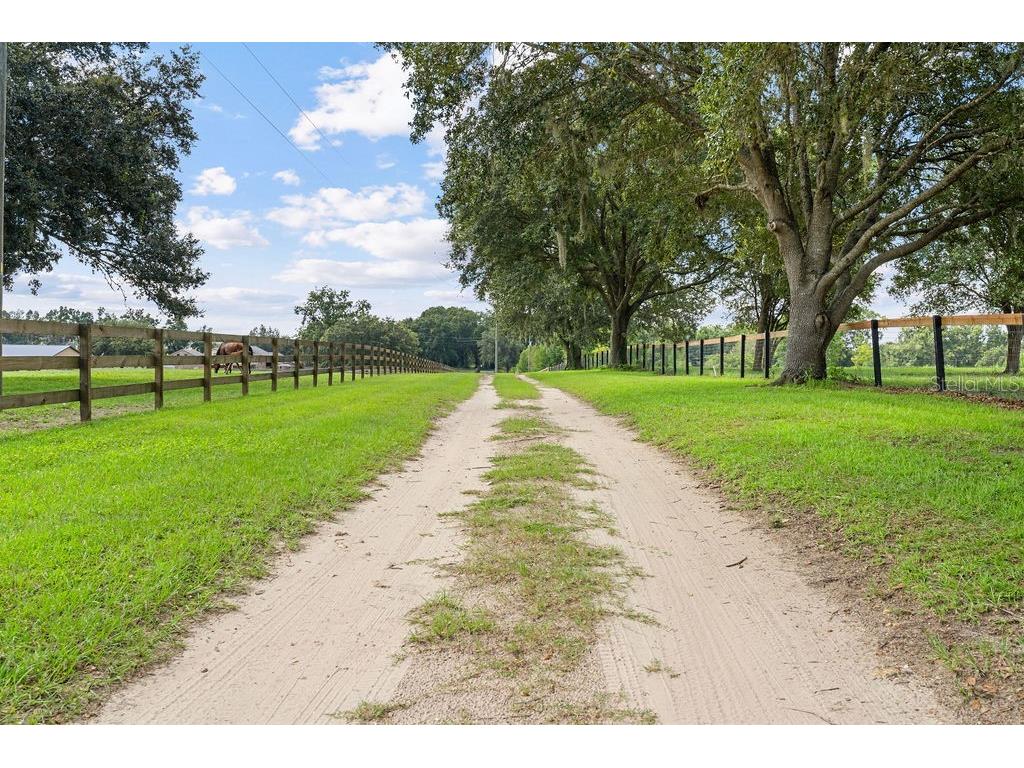 20765 SW 36th Street Dunnellon FL 34431 OM707899 image26