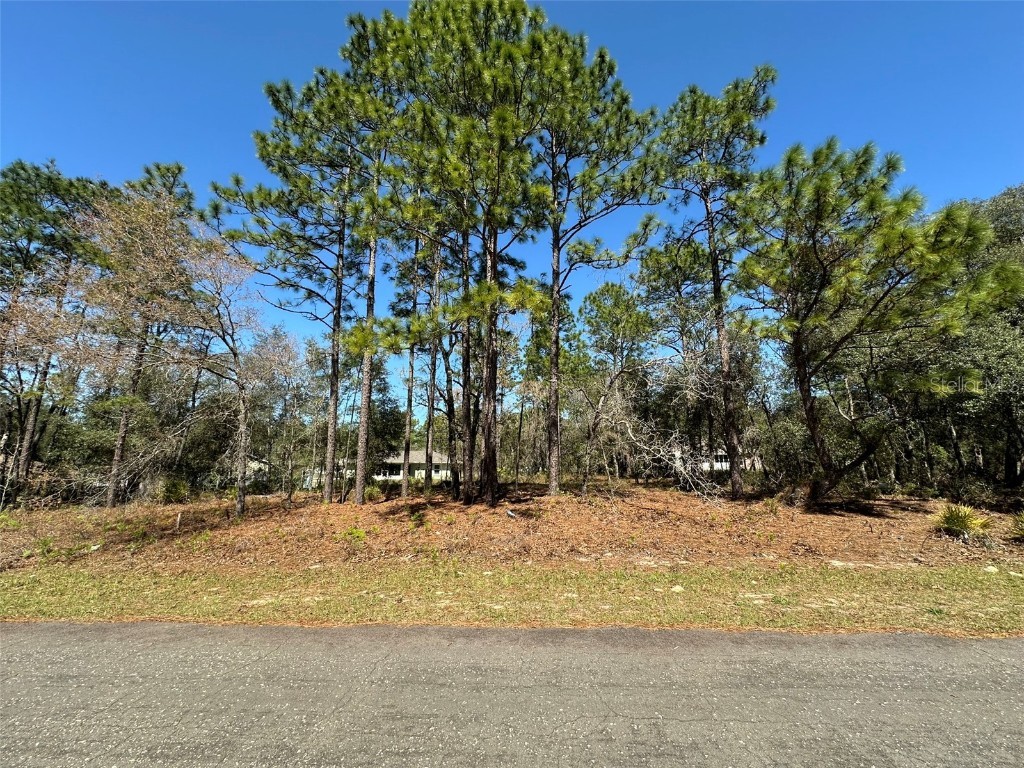 2077 W Linden Drive Citrus Springs FL 34434 OM697164 image1