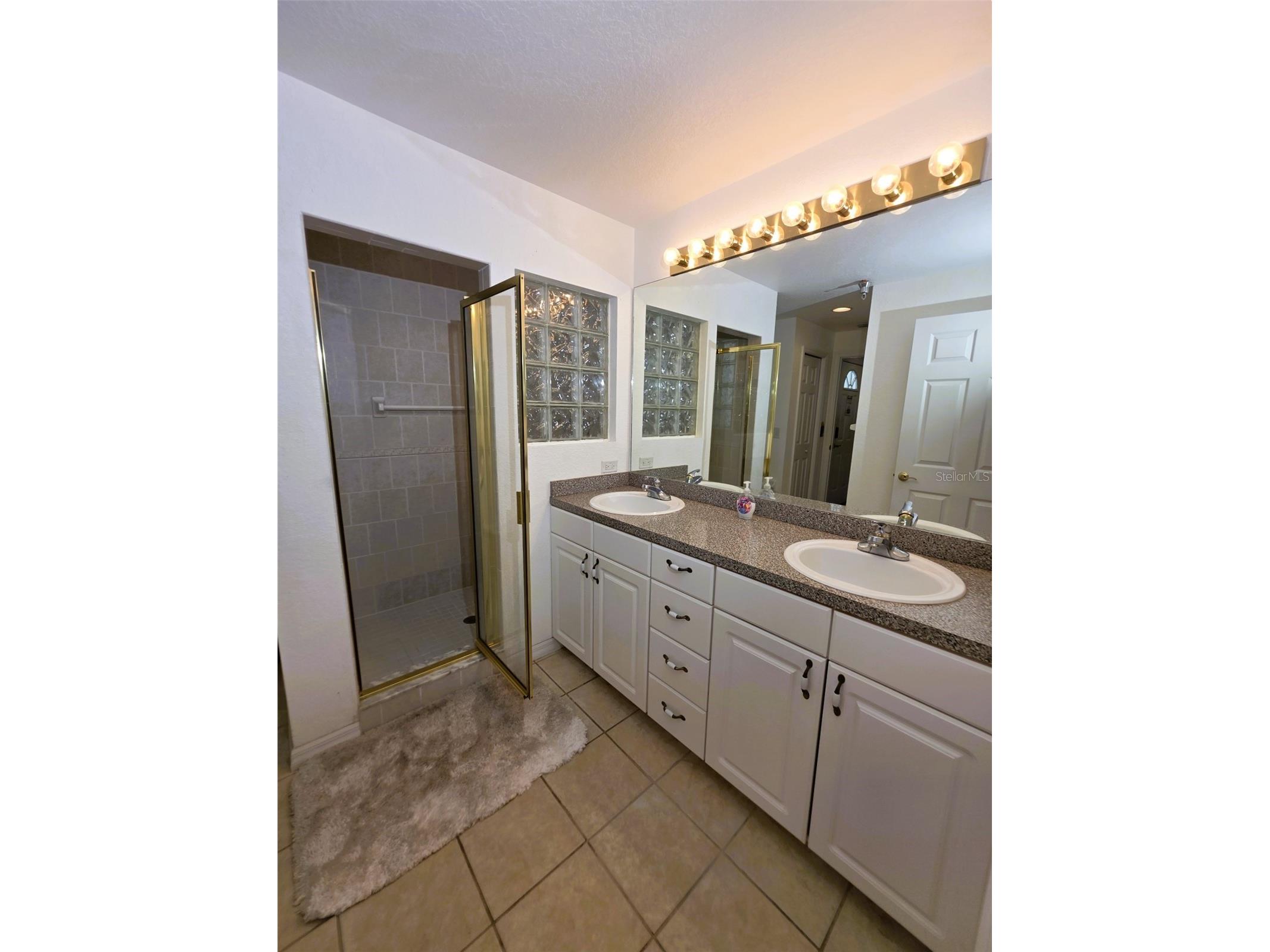 2077 Wetland Point #1301 Lutz FL 33558 W7886432 image23
