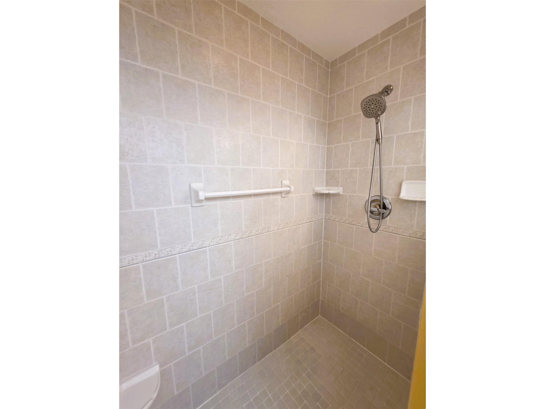 2077 Wetland Point #1301 Lutz FL 33558 W7886432 image24
