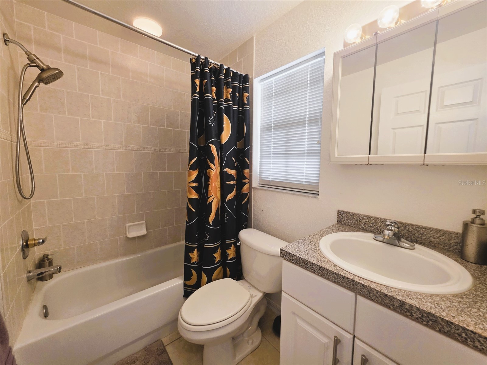 2077 Wetland Point #1301 Lutz FL 33558 W7886432 image33