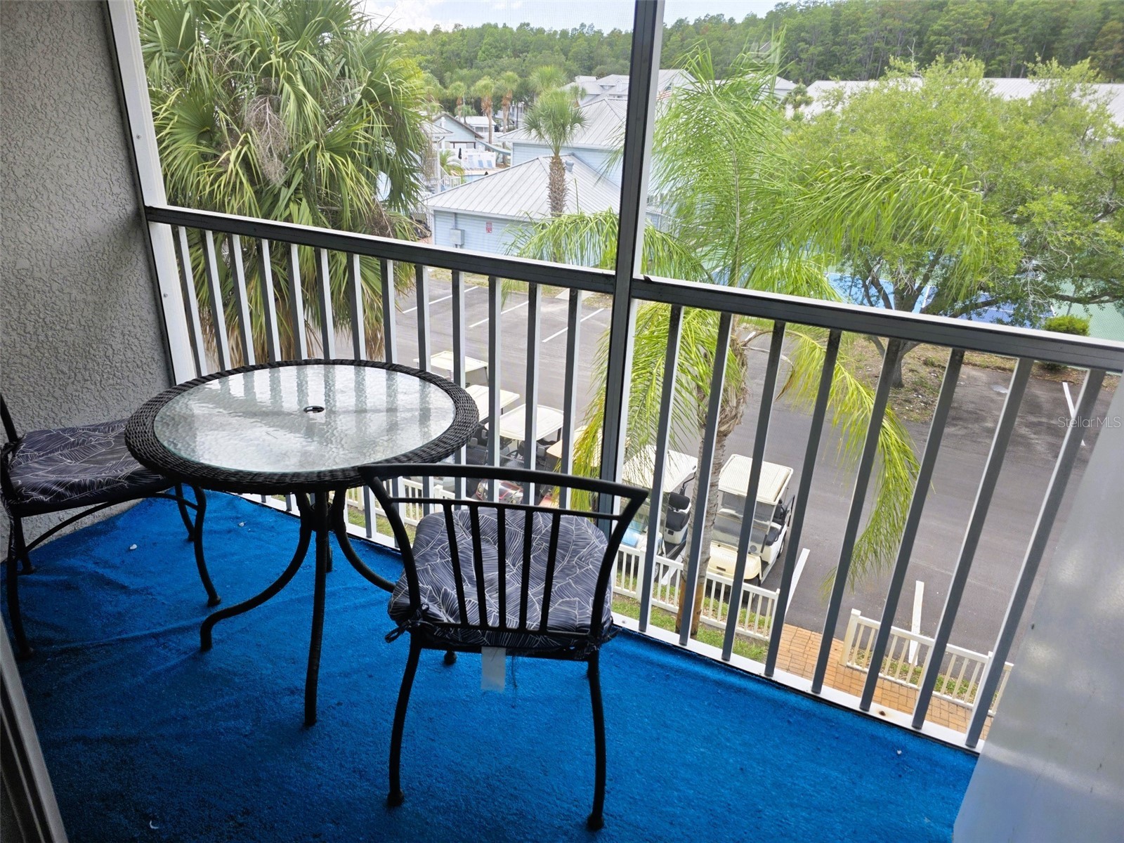 2077 Wetland Point #1301 Lutz FL 33558 W7886432 image34