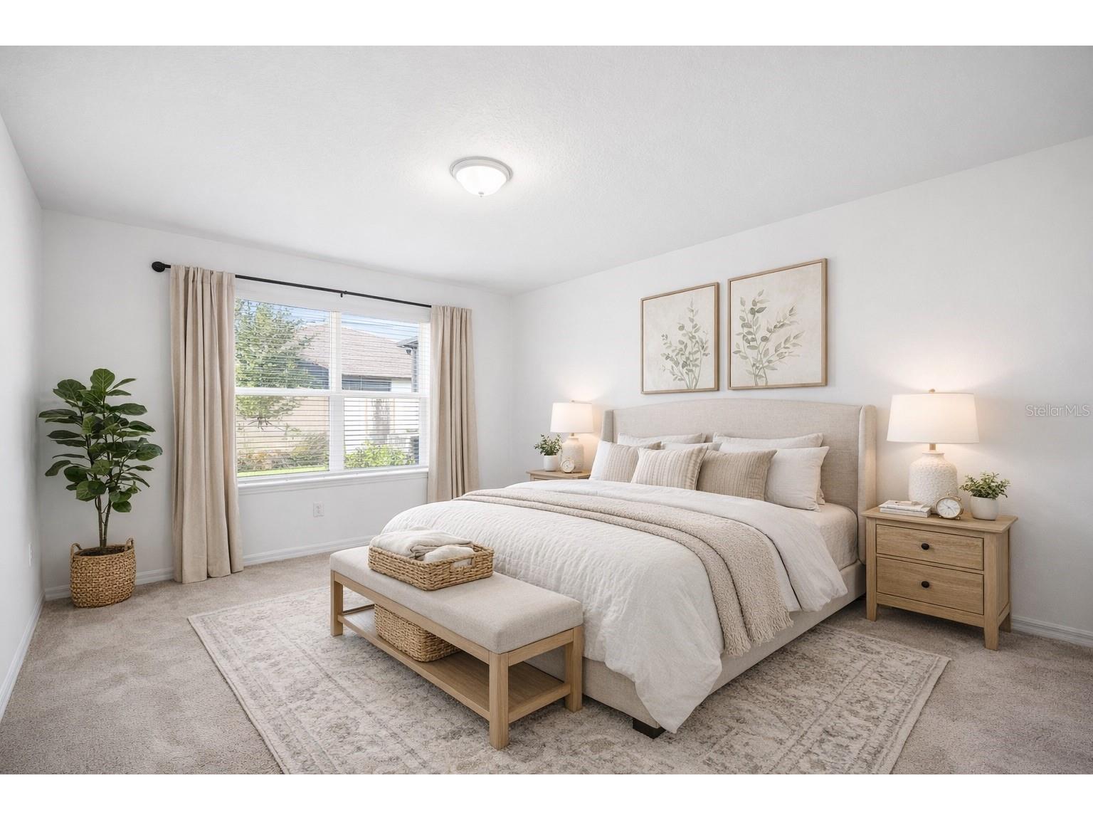 20770 Balsam Hill Road Land O Lakes FL 34638 TB8496884 image14