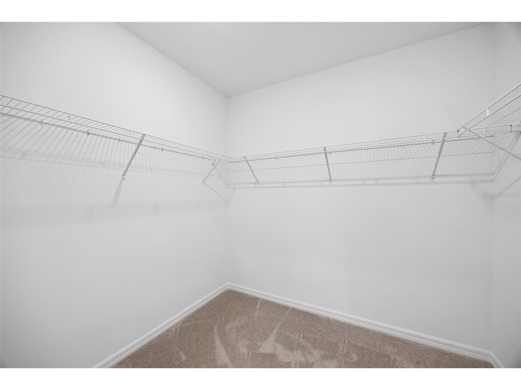 20770 Balsam Hill Road Land O Lakes FL 34638 TB8496884 image19