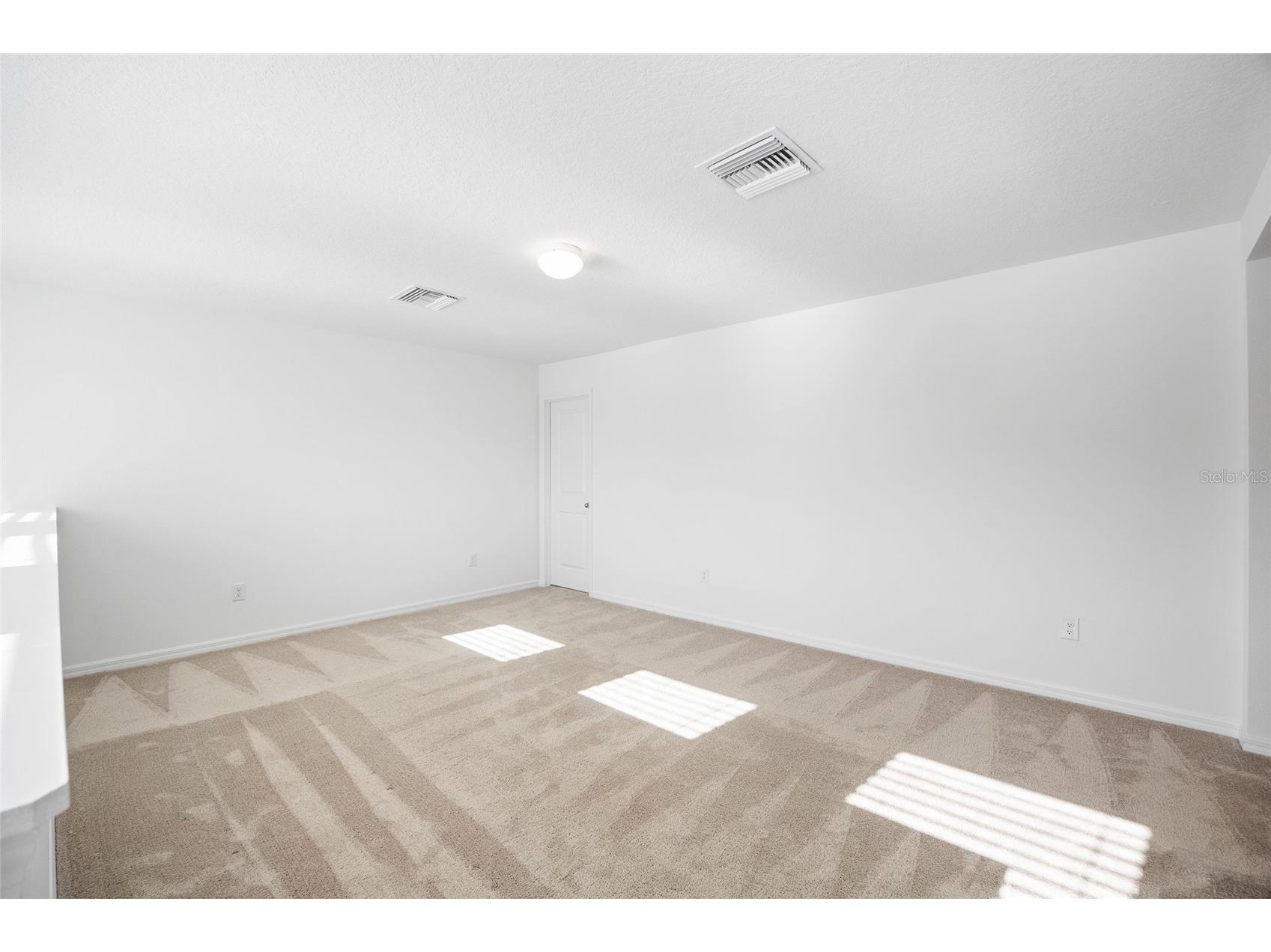 20770 Balsam Hill Road Land O Lakes FL 34638 TB8496884 image22