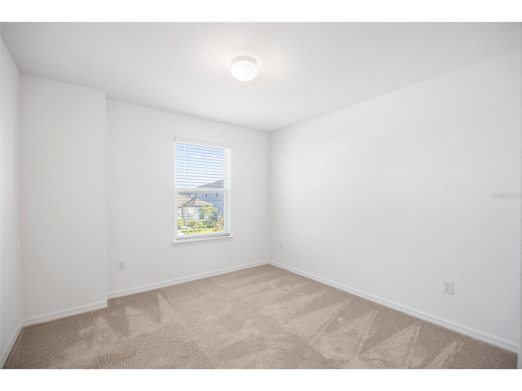 20770 Balsam Hill Road Land O Lakes FL 34638 TB8496884 image29