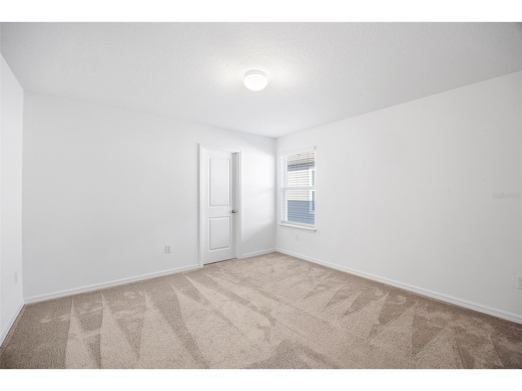 20770 Balsam Hill Road Land O Lakes FL 34638 TB8496884 image32