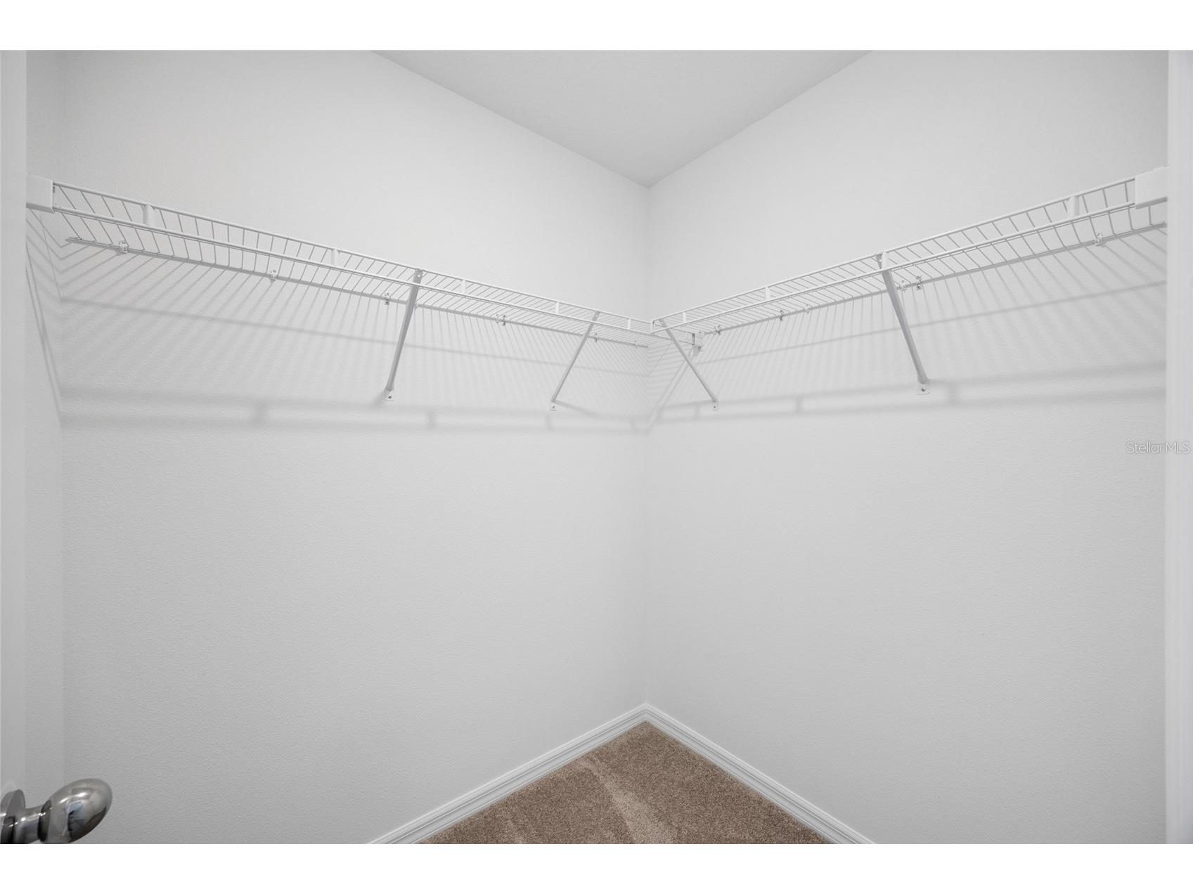 20770 Balsam Hill Road Land O Lakes FL 34638 TB8496884 image34