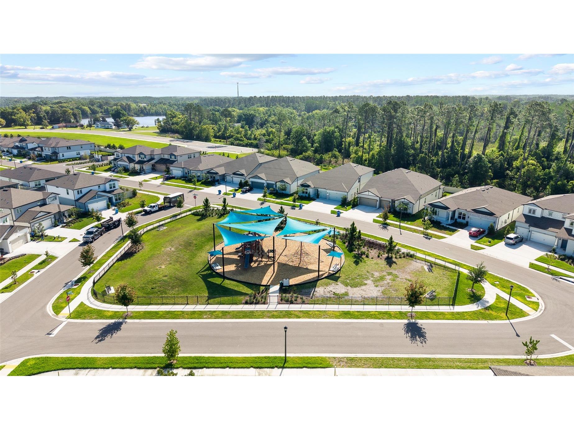 20770 Balsam Hill Road Land O Lakes FL 34638 TB8496884 image42