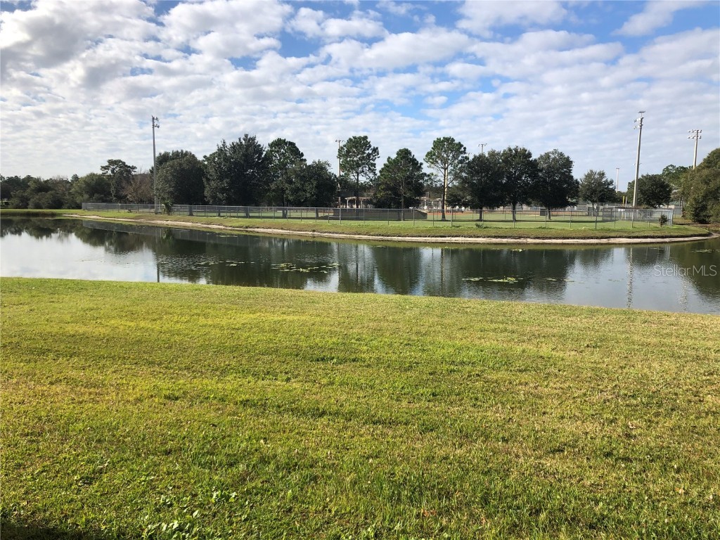 20771 Great Laurel Avenue Tampa FL 33647 TB8415626 image18