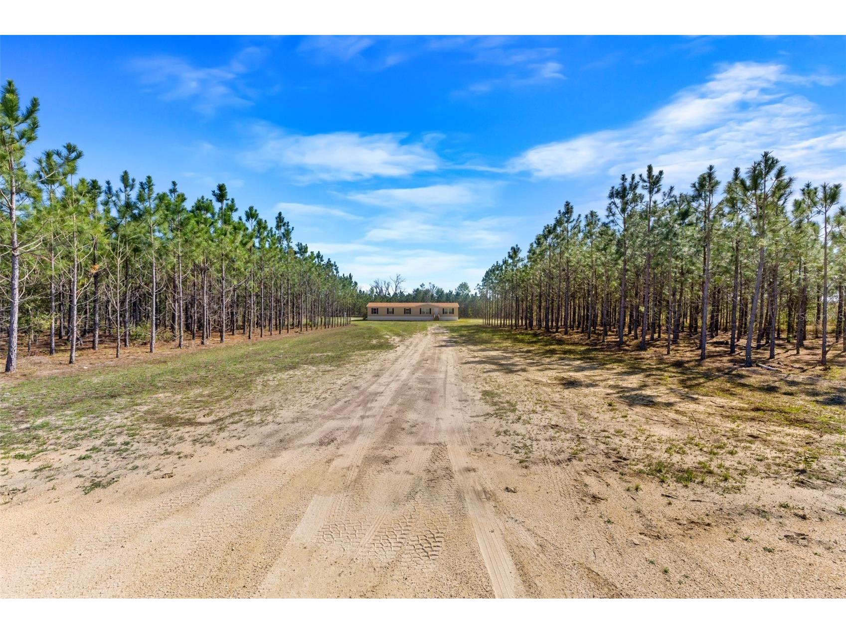 20774 78th Trace Live Oak FL 32060 W7885047 image2