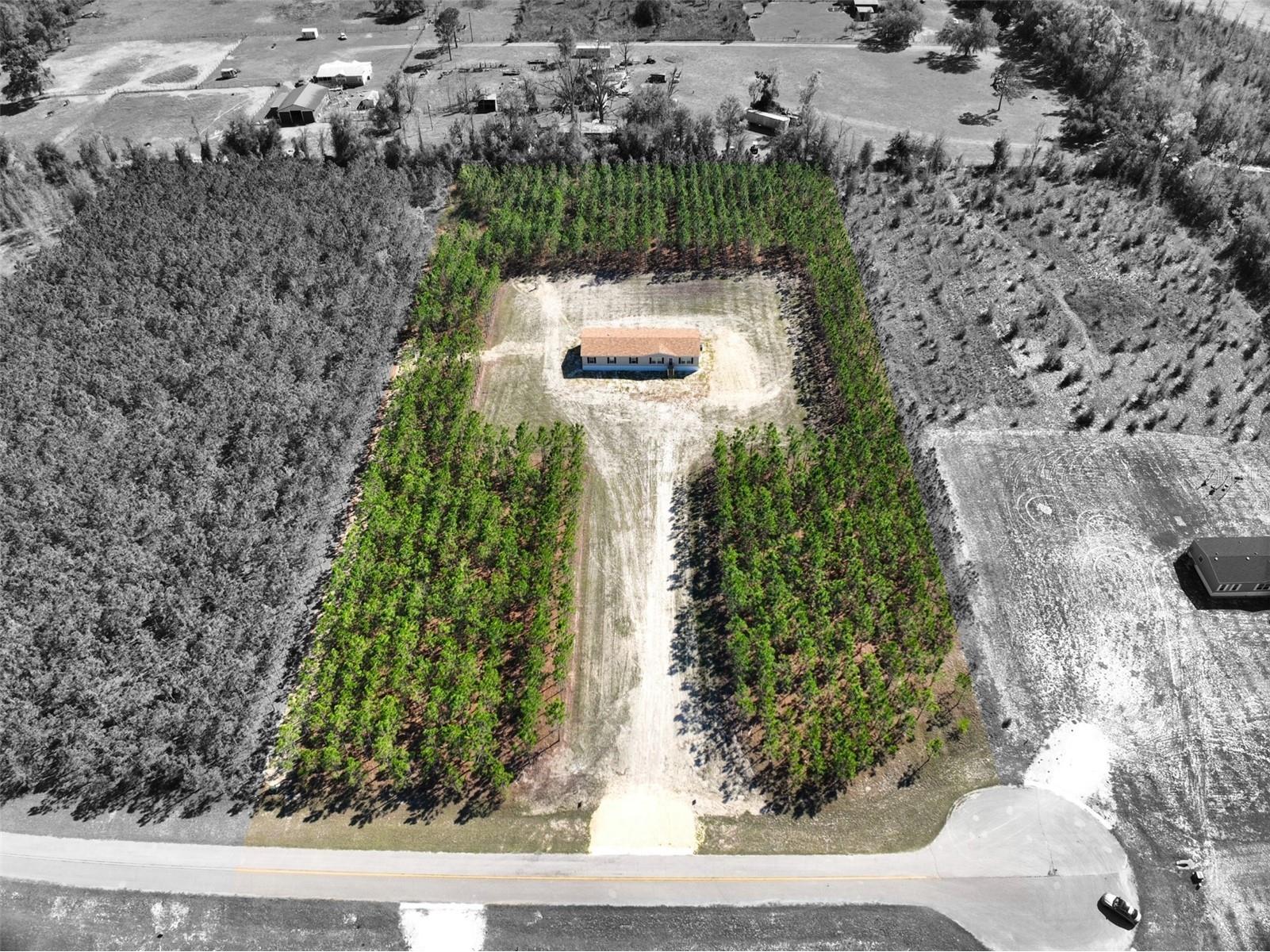 20774 78th Trace Live Oak FL 32060 W7885047 image4