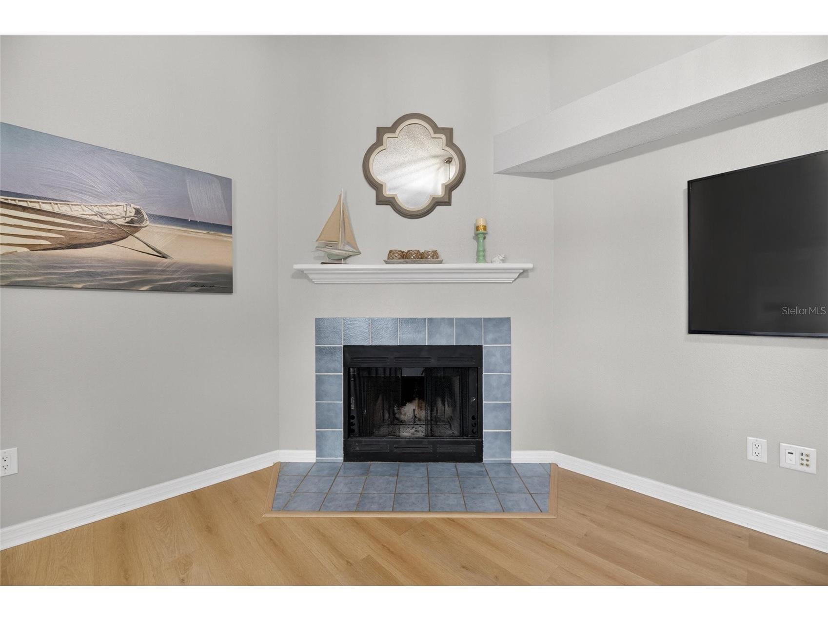 2078 Shadow Pine Drive Brandon FL 33511 TB8511003 image10