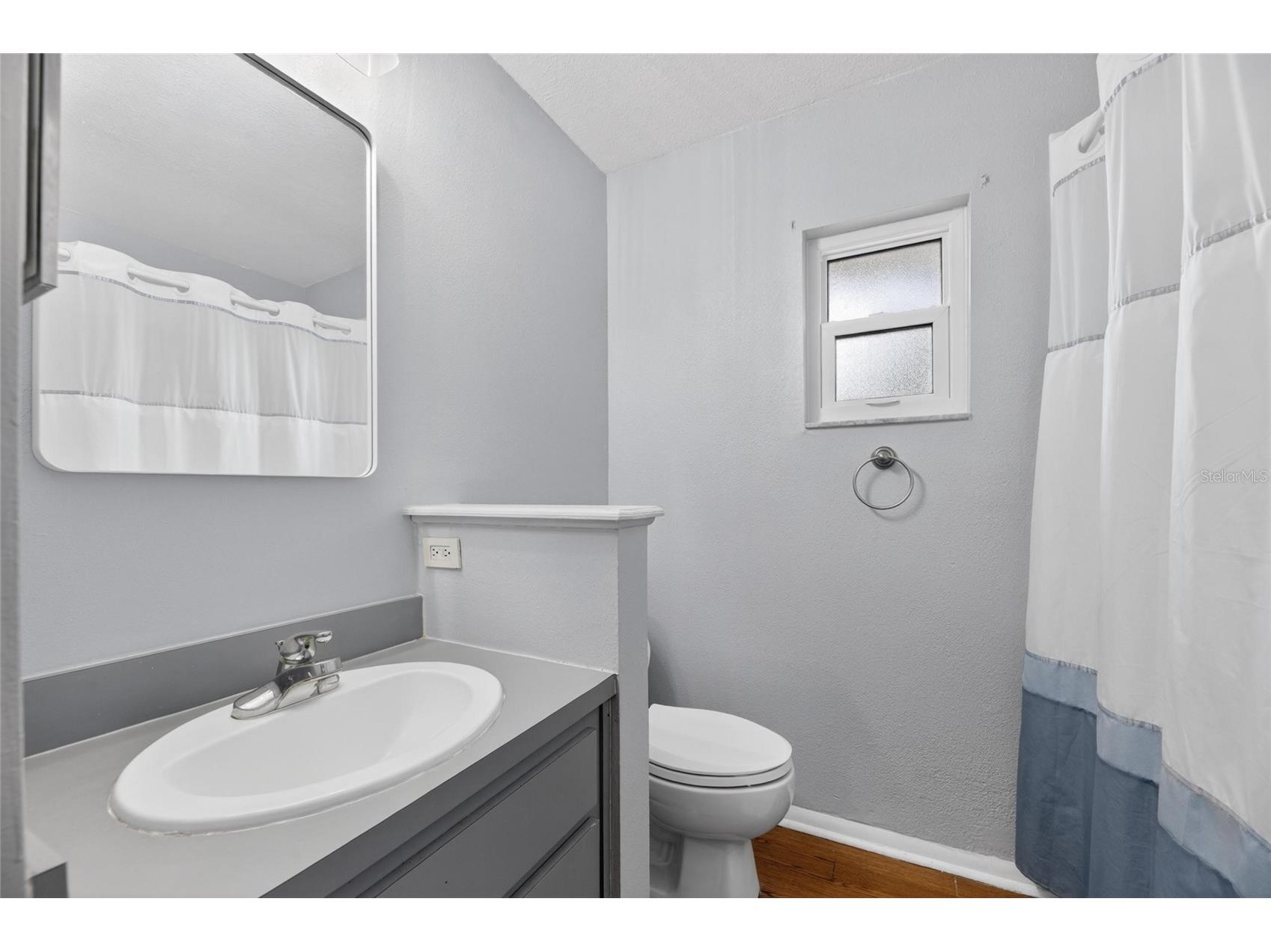 2078 Shadow Pine Drive Brandon FL 33511 TB8511003 image44