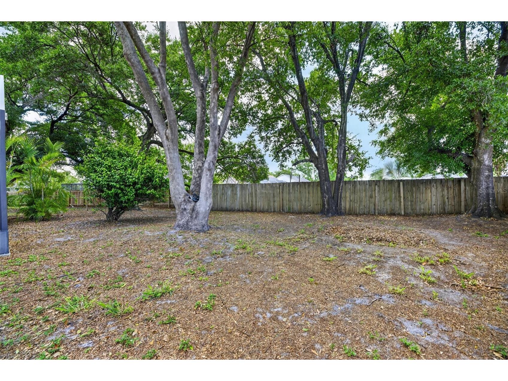 2078 Shadow Pine Drive Brandon FL 33511 TB8511003 image52