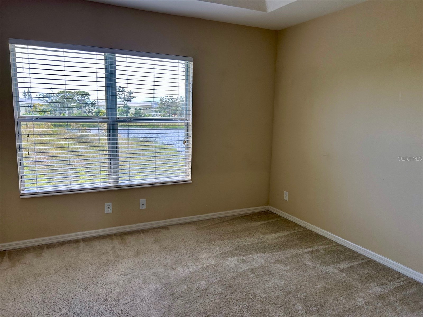 2078 Sun Down Drive Clearwater FL 33763 TB8500340 image11