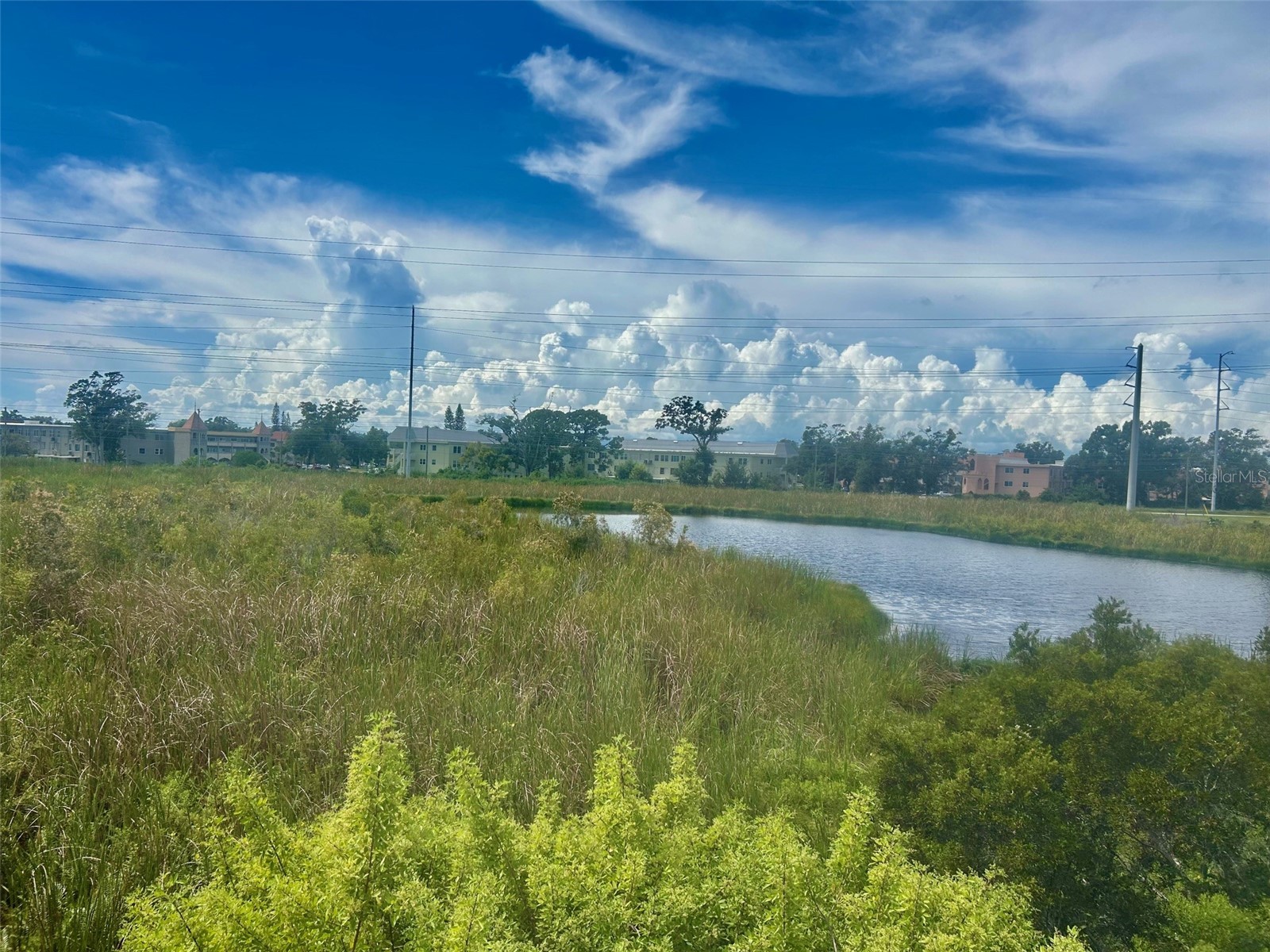 2078 Sun Down Drive Clearwater FL 33763 TB8500340 image21