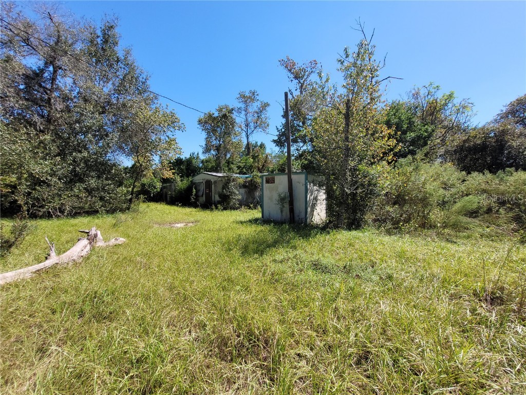 20784 SE 140th Place Umatilla FL 32784 OM647146 image1