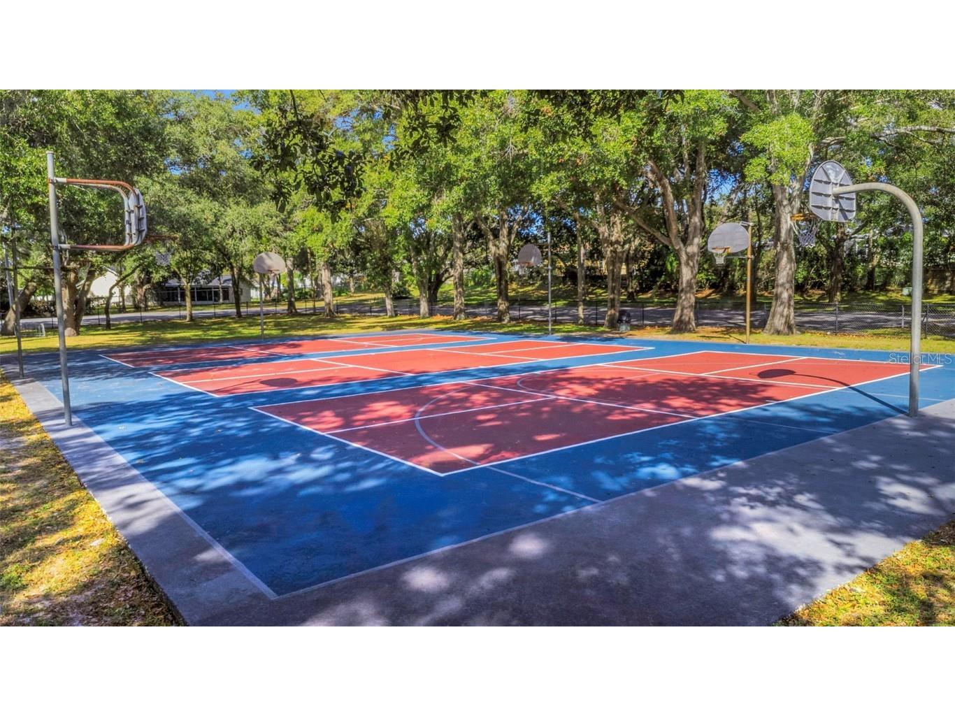 2079 Swan Lane Safety Harbor FL 34695 TB8450852 image36