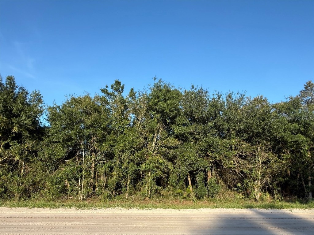 20796 NW 298th Street Okeechobee FL 34972 OK225475 image1
