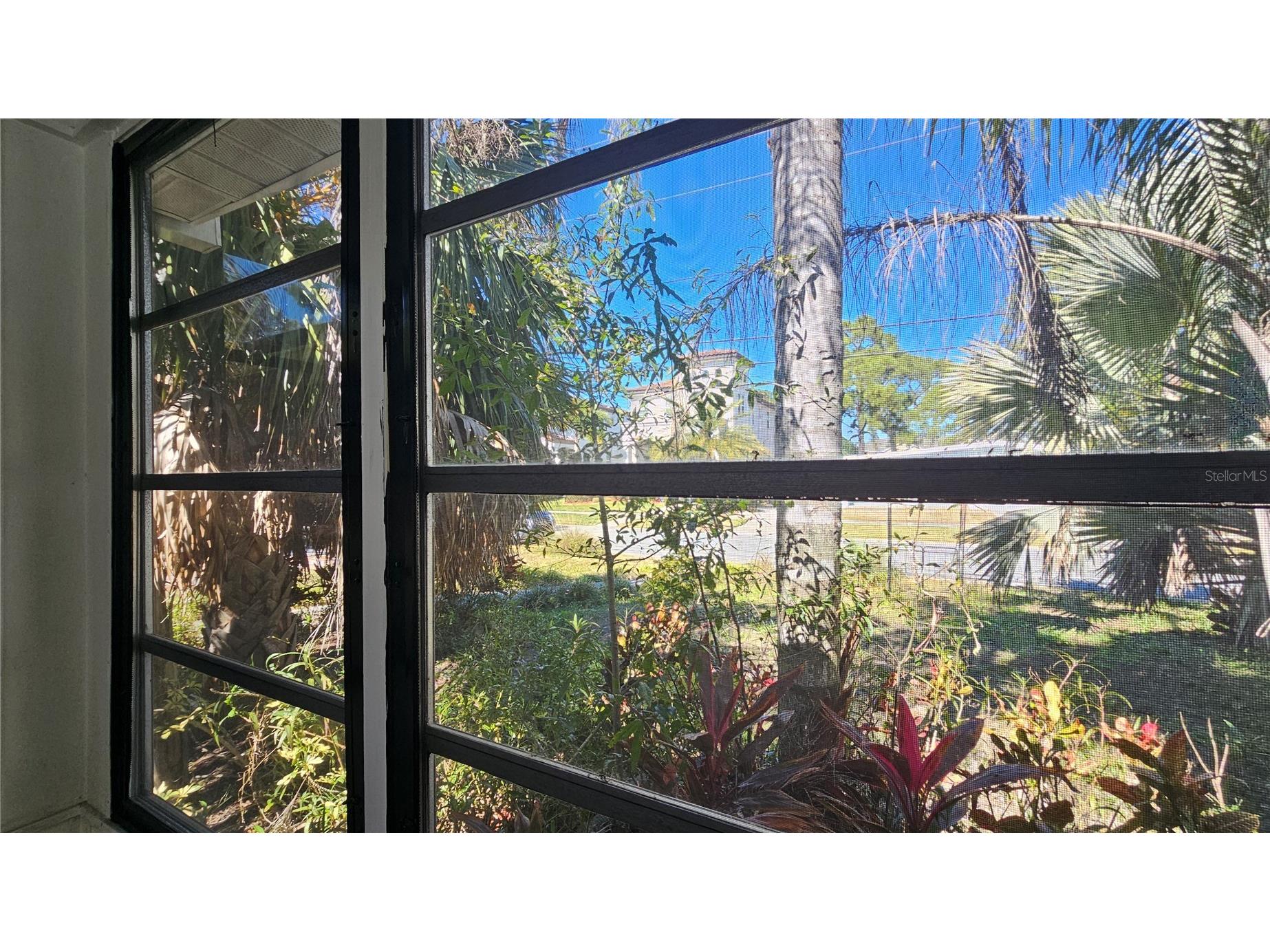 208 48th Avenue N Saint Petersburg FL 33703 TB8499062 image35