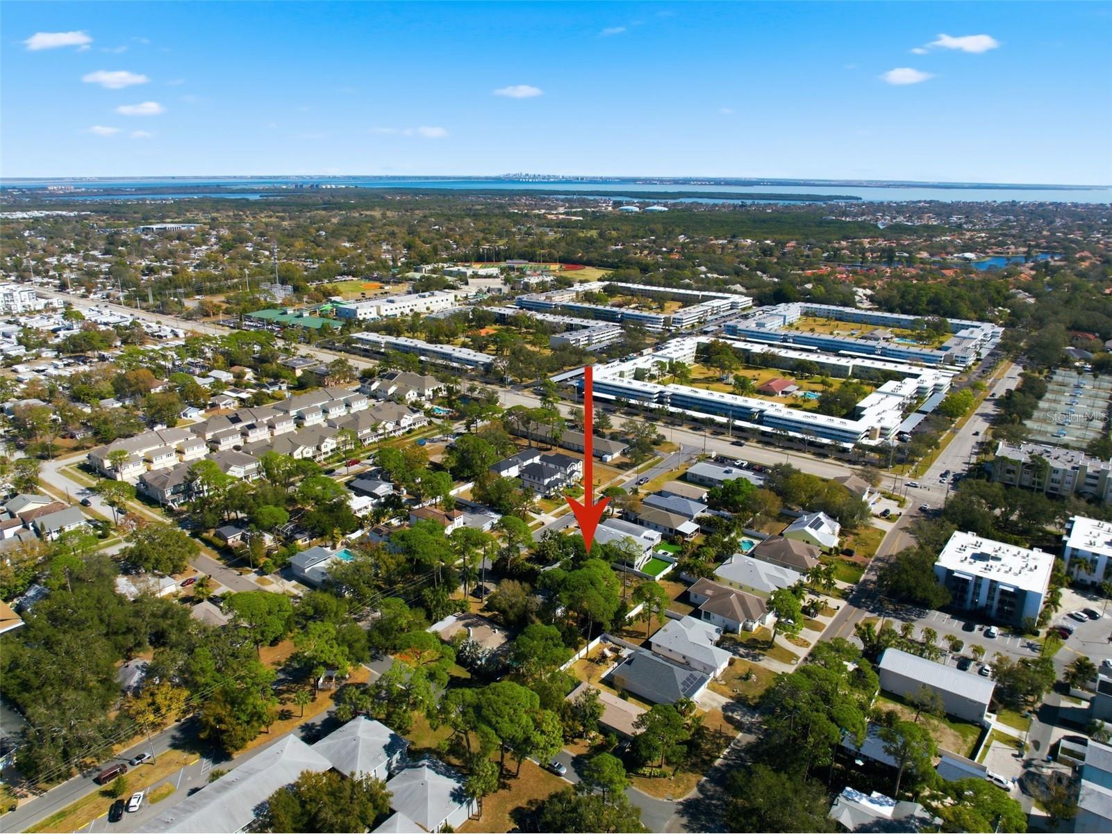 208 48th Avenue N Saint Petersburg FL 33703 TB8499062 image64