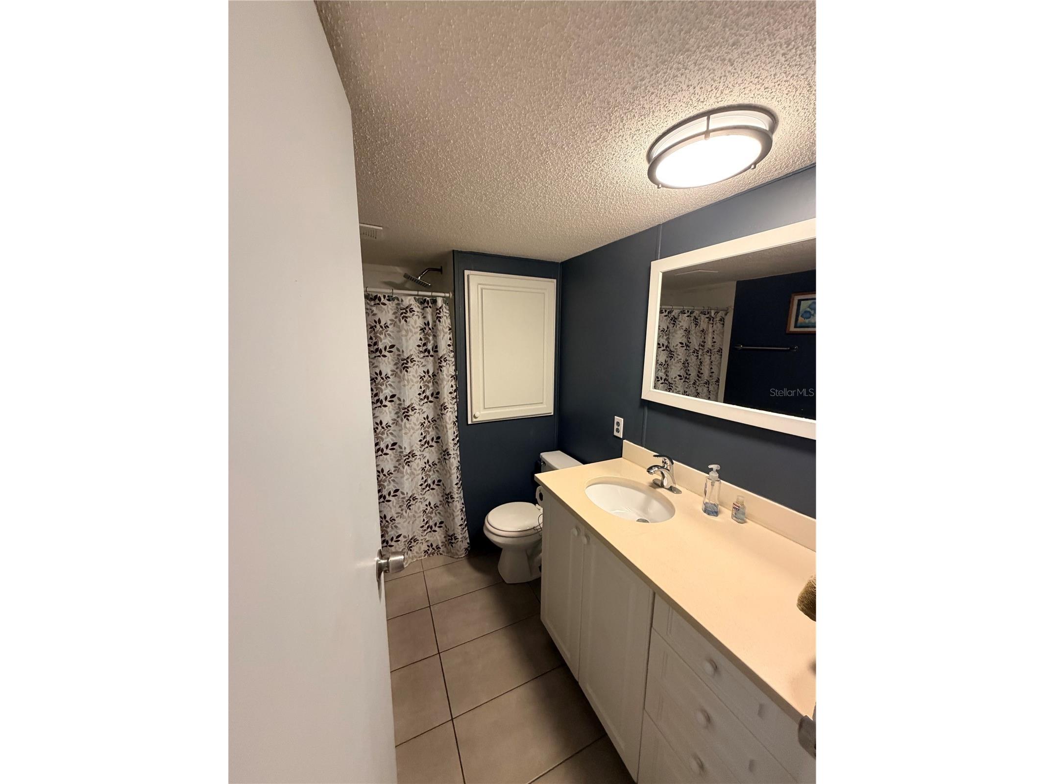 208 50th Avenue Drive E Bradenton FL 34203 A4697441 image16