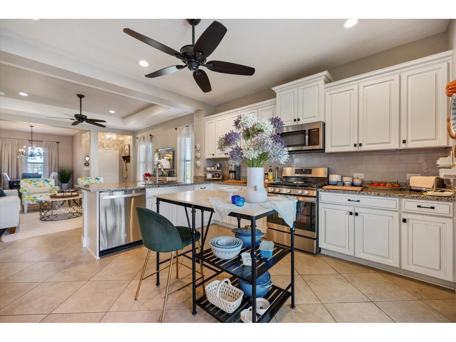 208 Brienza Loop Nokomis FL 34275 N6142264 image9