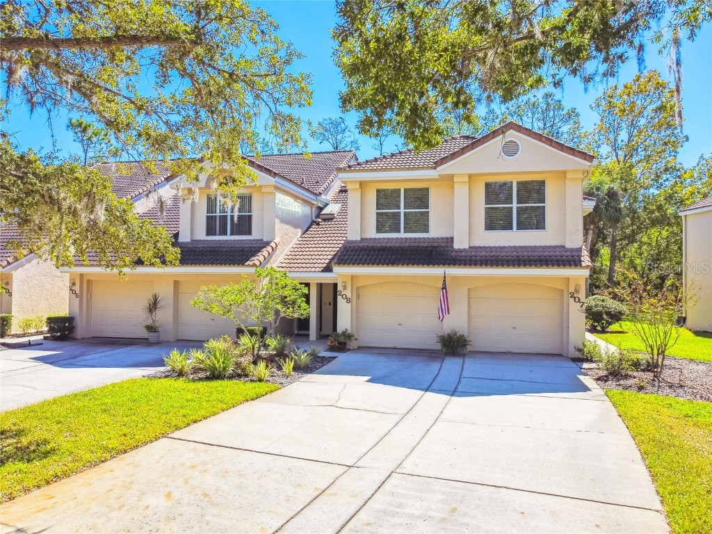 208 Clays Trail #208 Oldsmar FL 34677 T3410089 image1