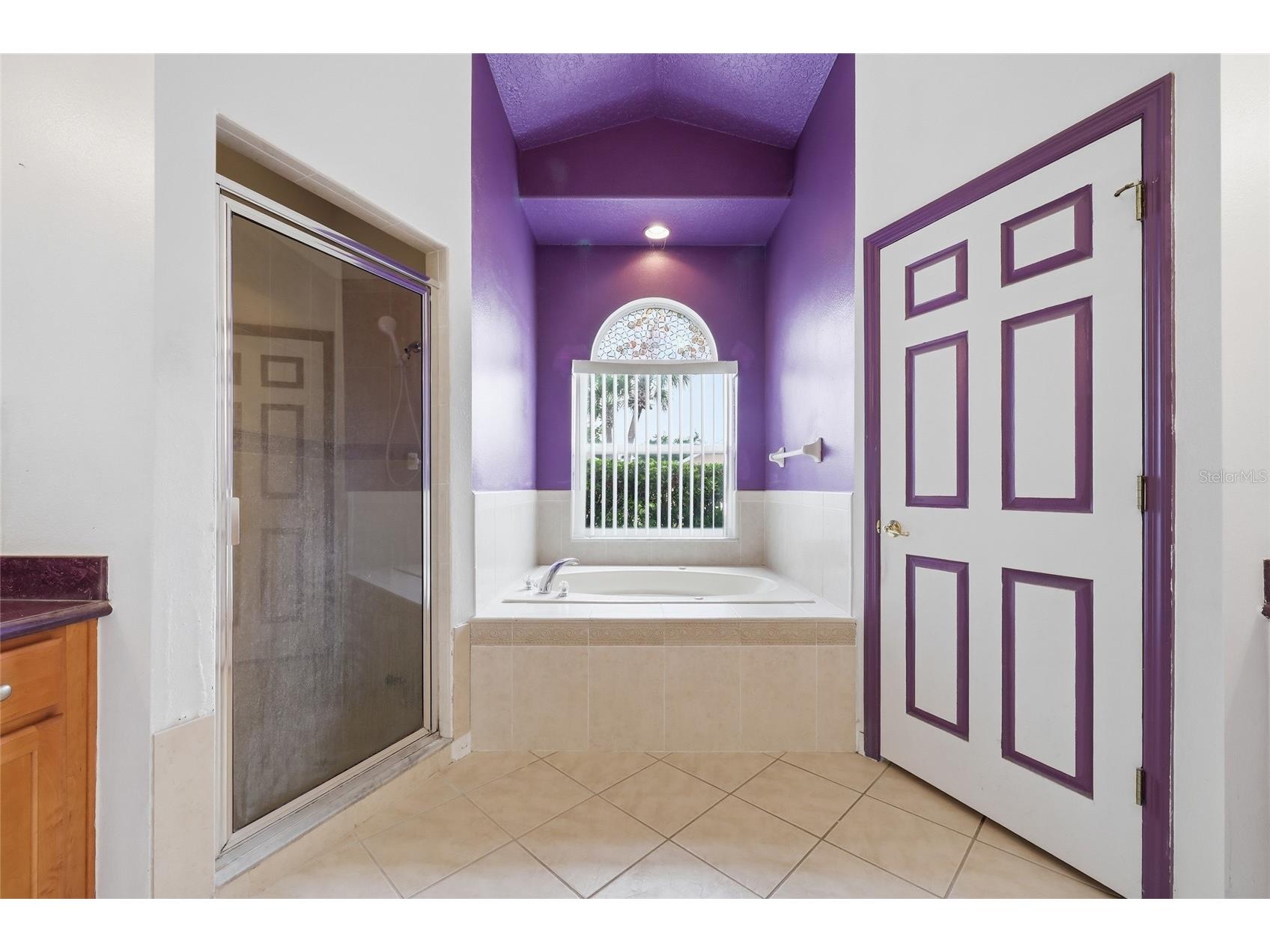 208 Corvina Drive Davenport FL 33897 O6404979 image17