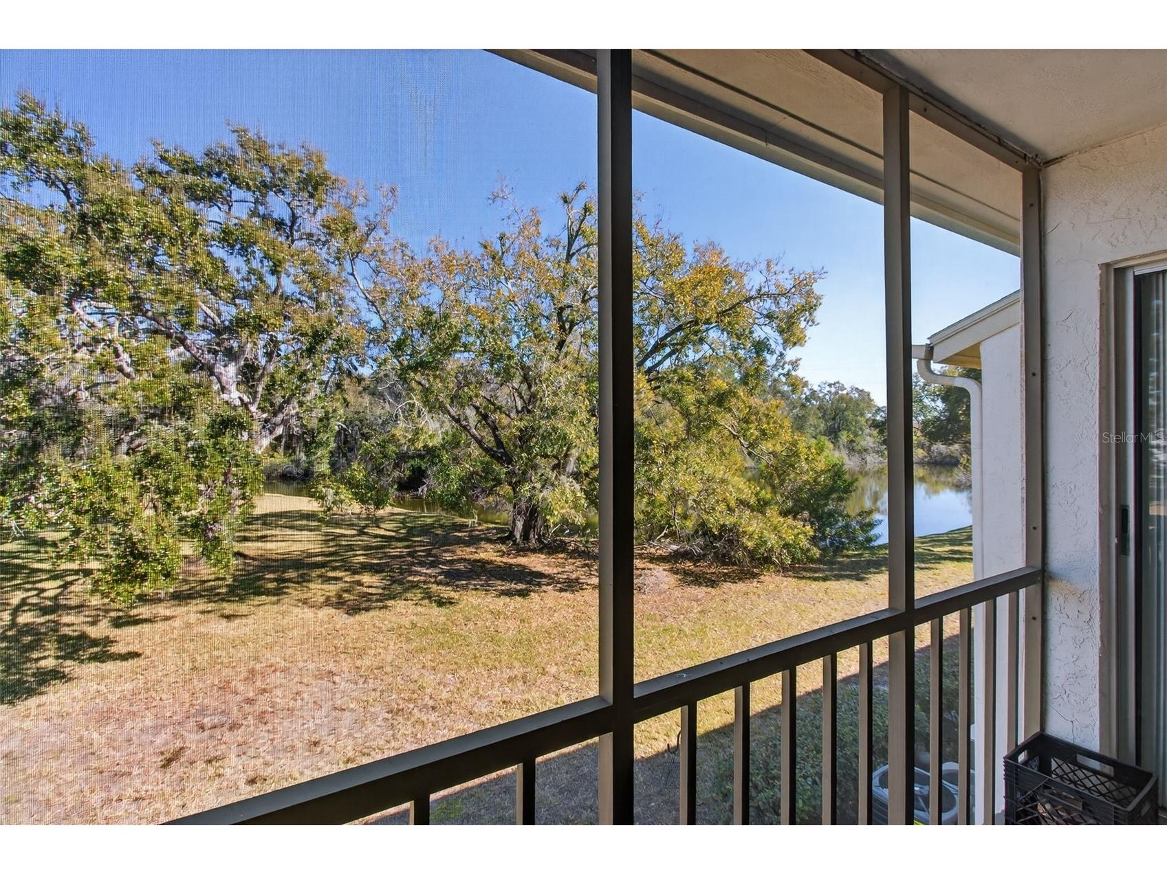 208 Cypress Court Oldsmar FL 34677 TB8475945 image13