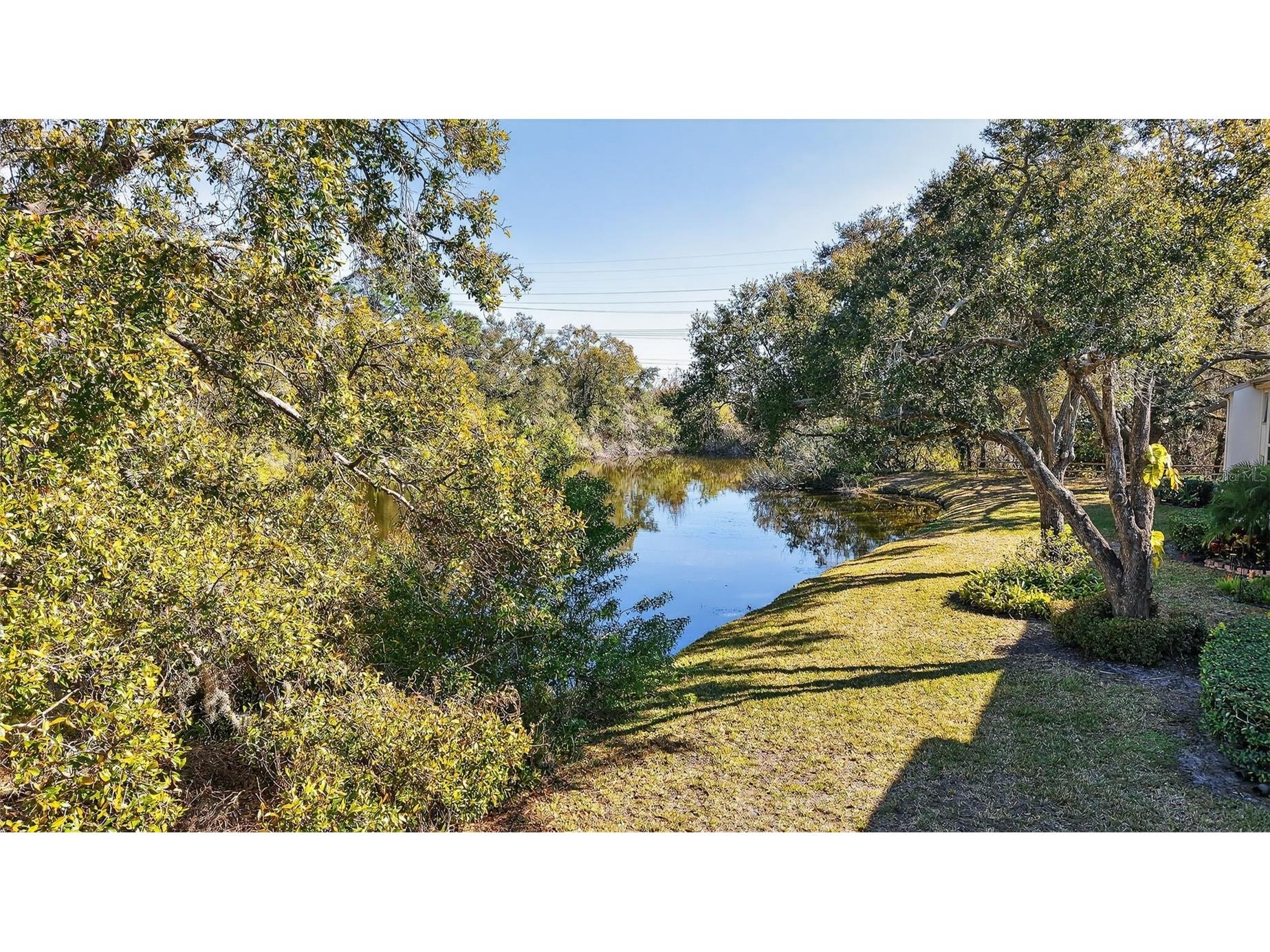 208 Cypress Court Oldsmar FL 34677 TB8475945 image15