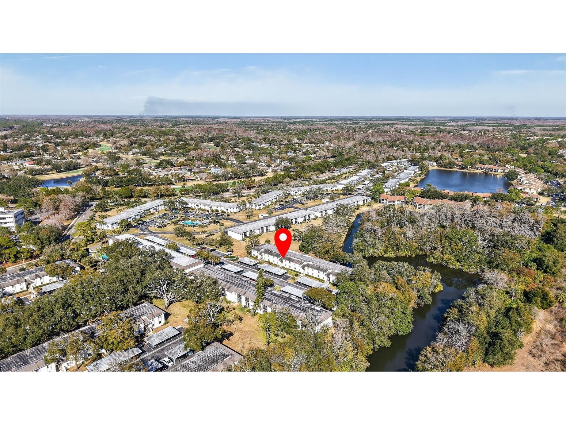 208 Cypress Court Oldsmar FL 34677 TB8475945 image29