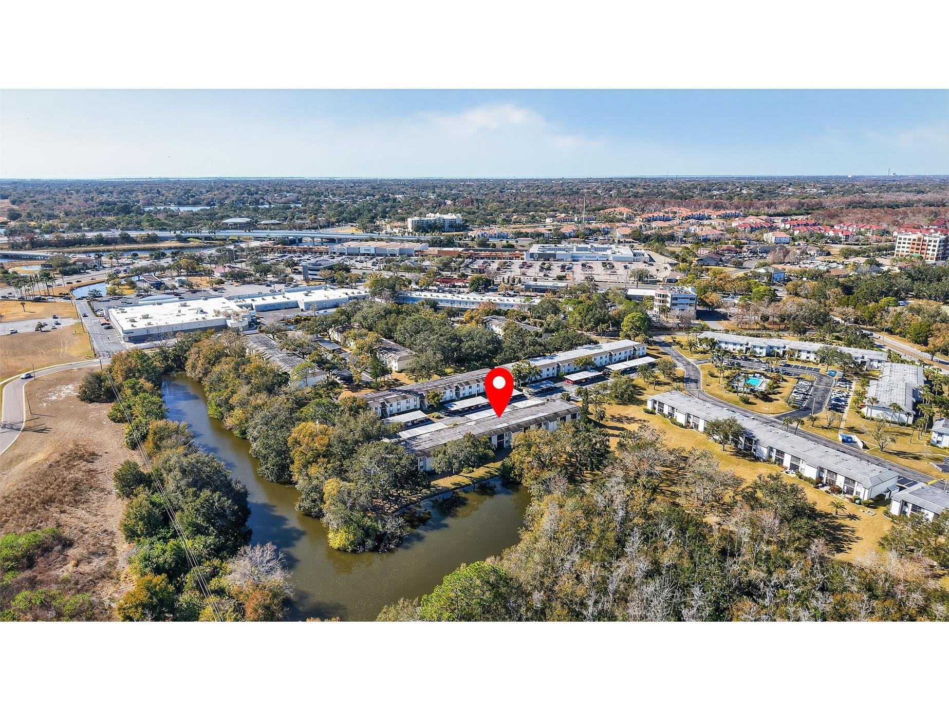 208 Cypress Court Oldsmar FL 34677 TB8475945 image30