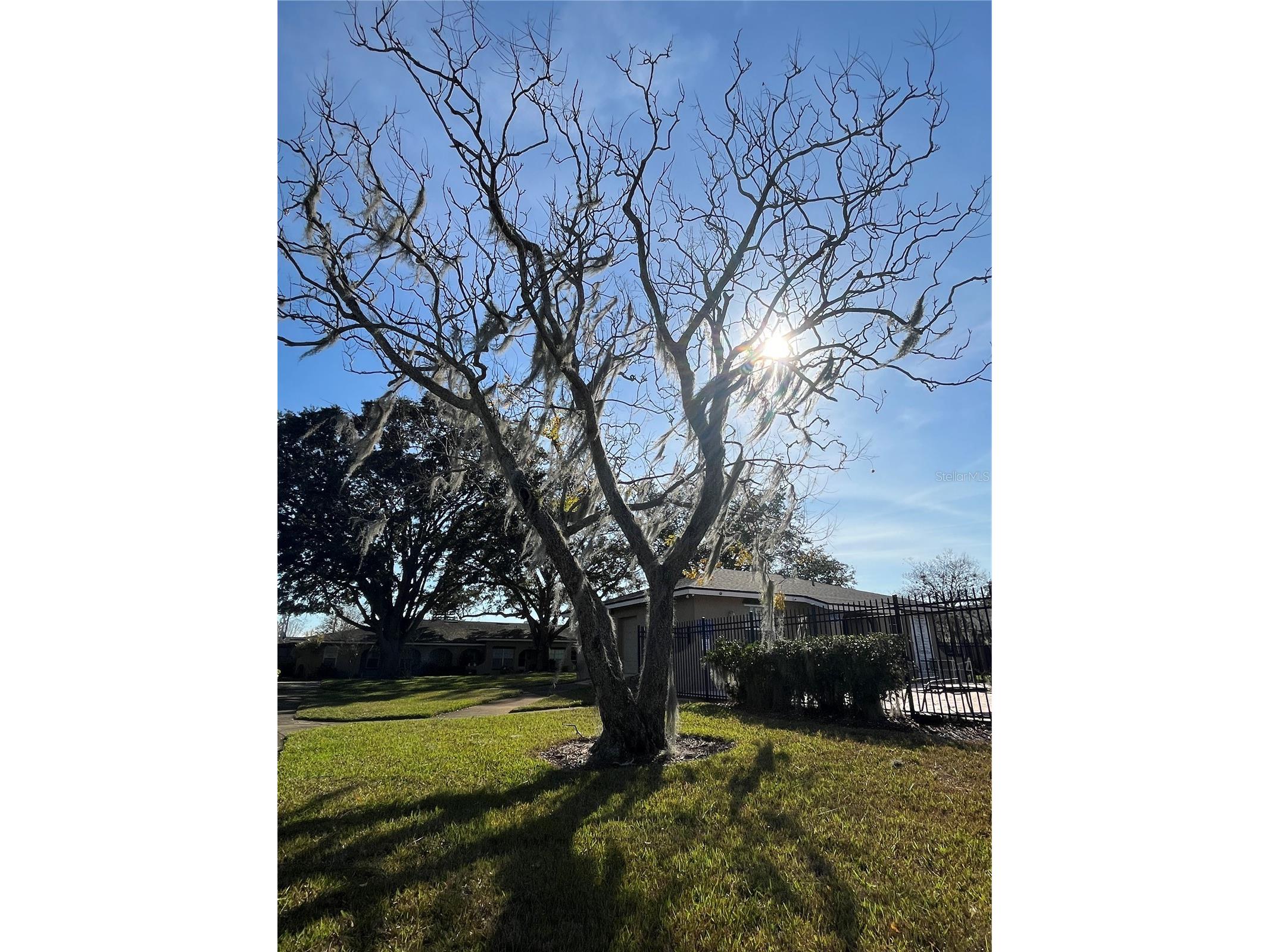 208 Diamond Cv #104 Casselberry FL 32707 O6277366 image30