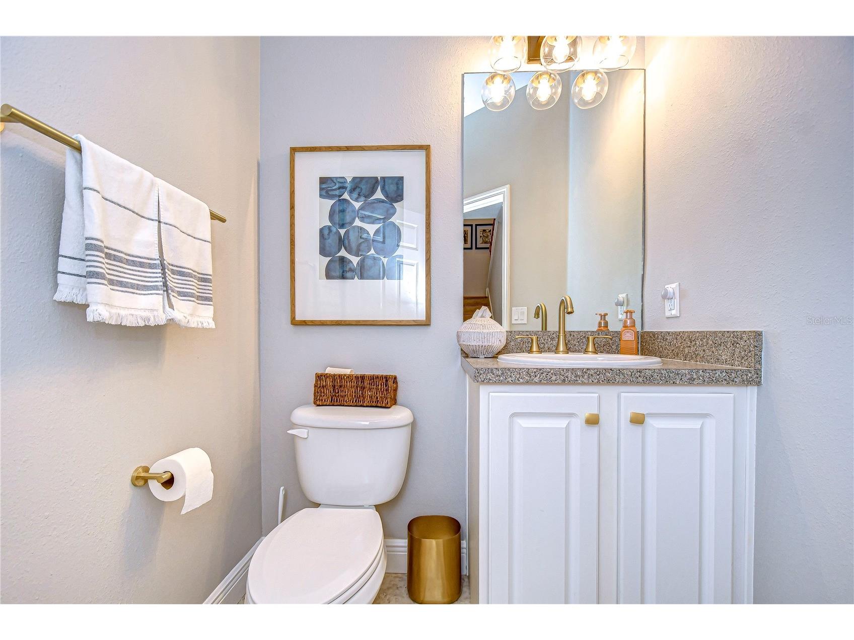 208 Elm View Court Brandon FL 33511 TB8509092 image14